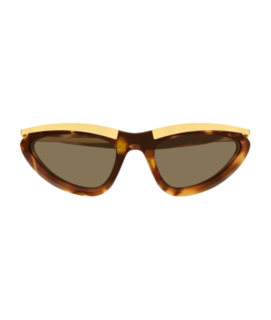 Havana-Brown