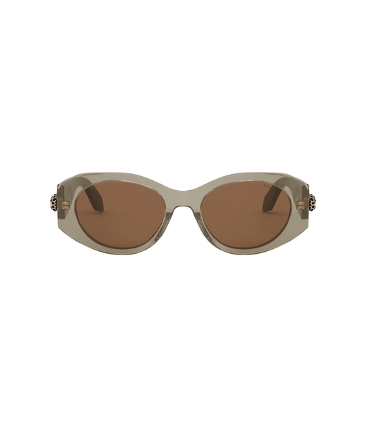 Shiny Brown-Brown