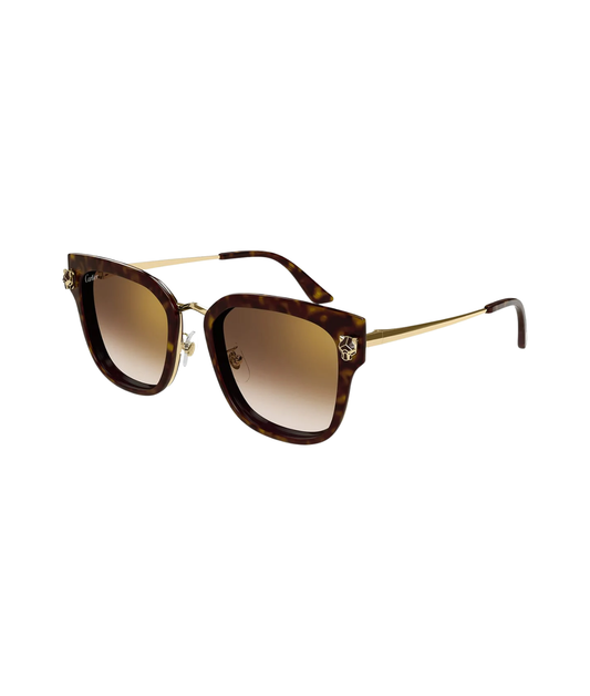 Havana Gold-Brown