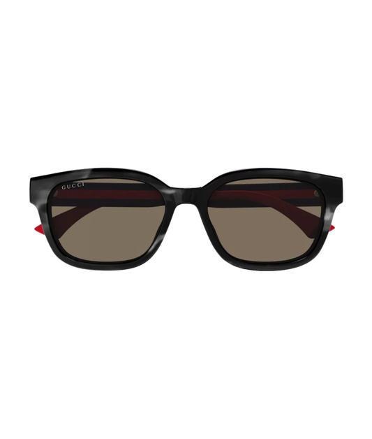 Havana Blue-Brown