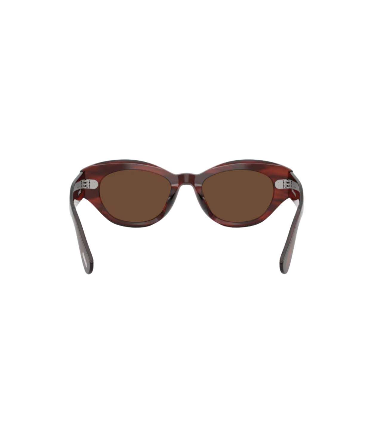 Morado tortoise-Terra polarized