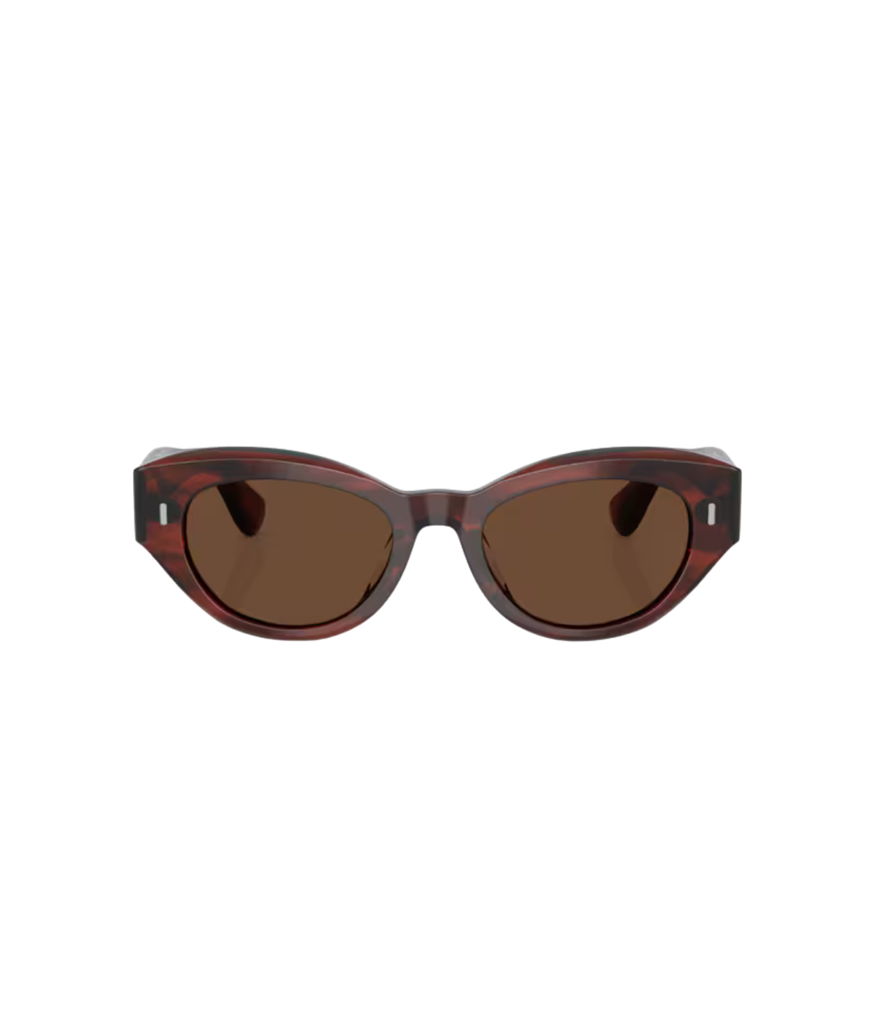 Morado tortoise-Terra polarized