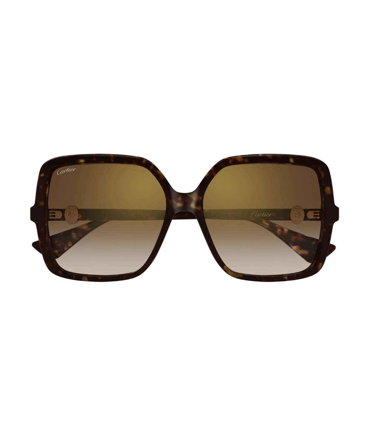 Havana-Brown