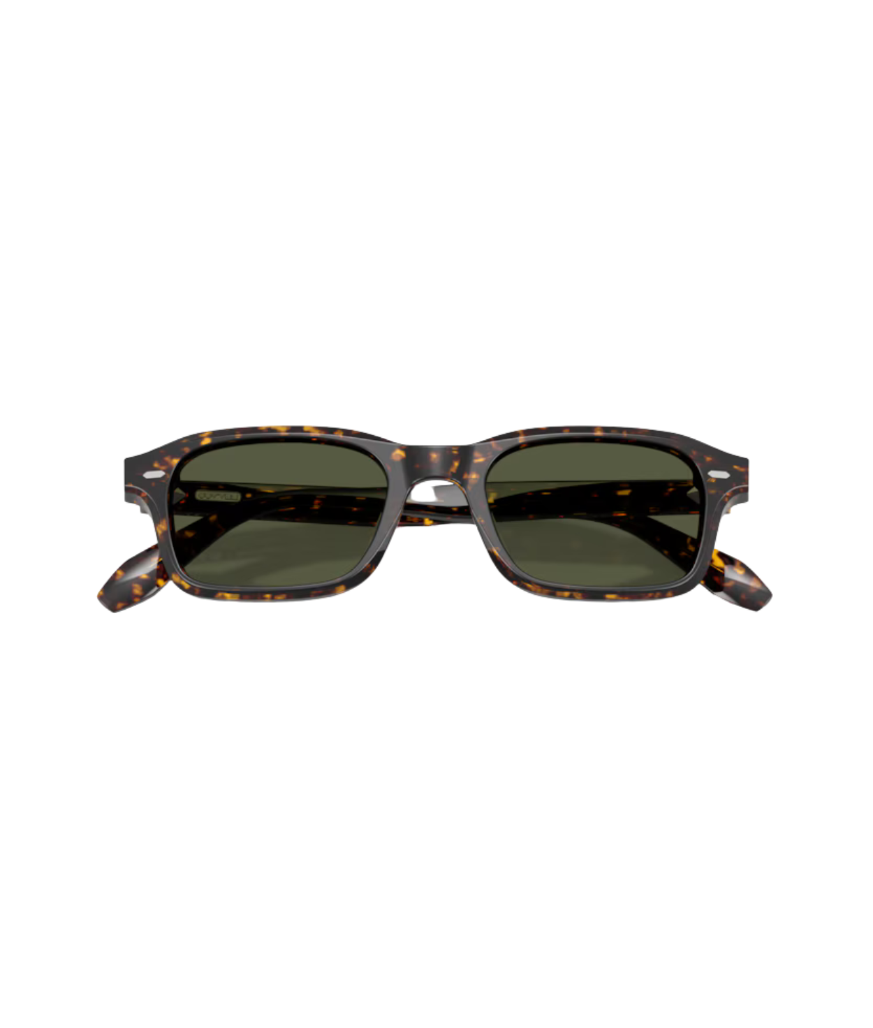 Atago tortoise-G-15