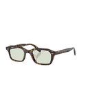 Atago tortoise-Fern wash to dark
