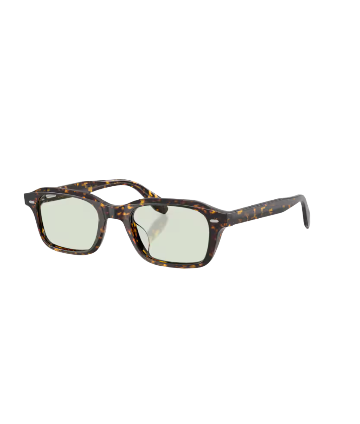 Atago tortoise-Fern wash to dark