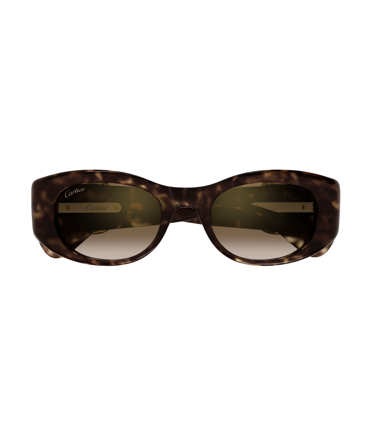 Havana-Brown