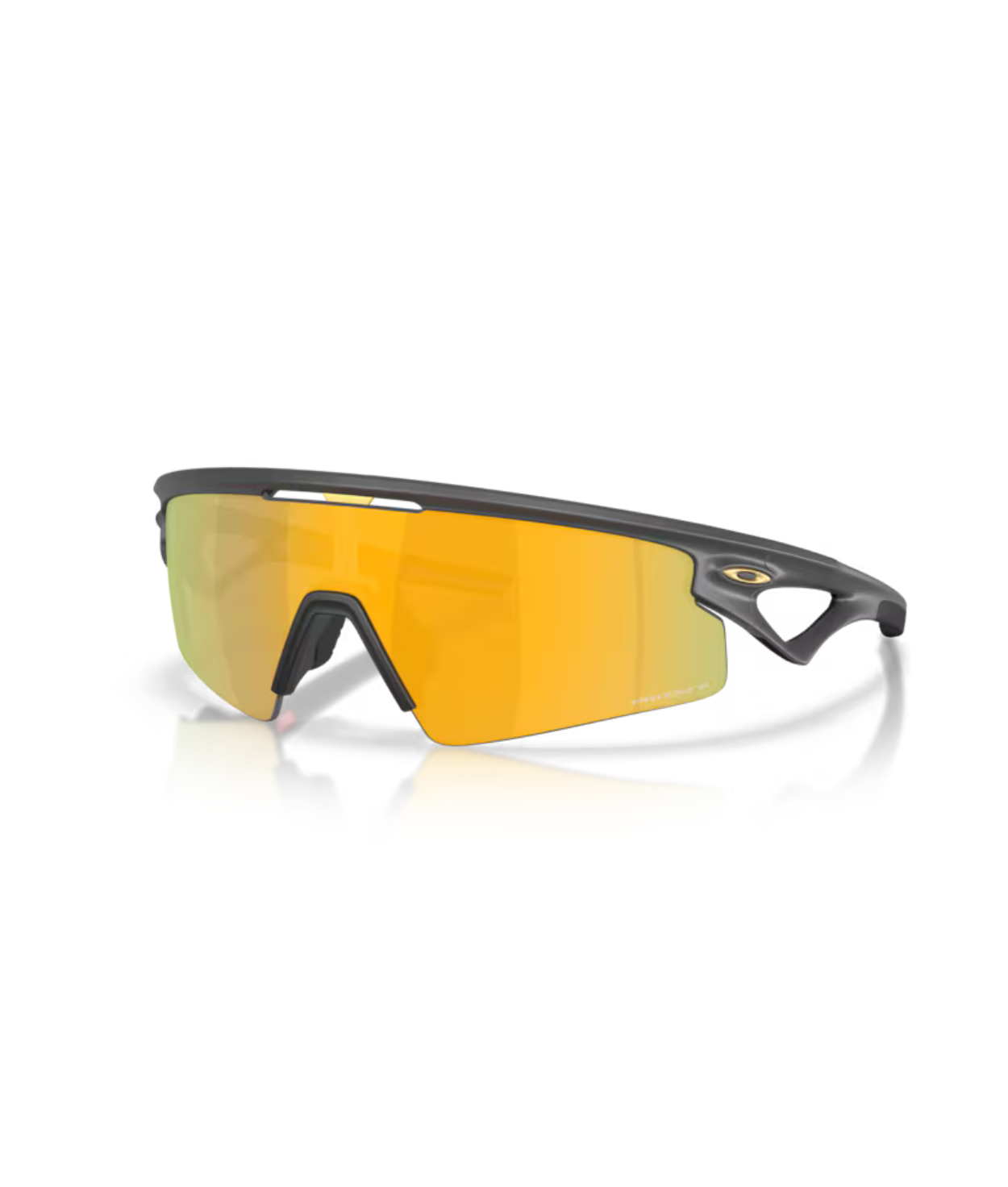 Matte carbon-Prizm 24k polarized