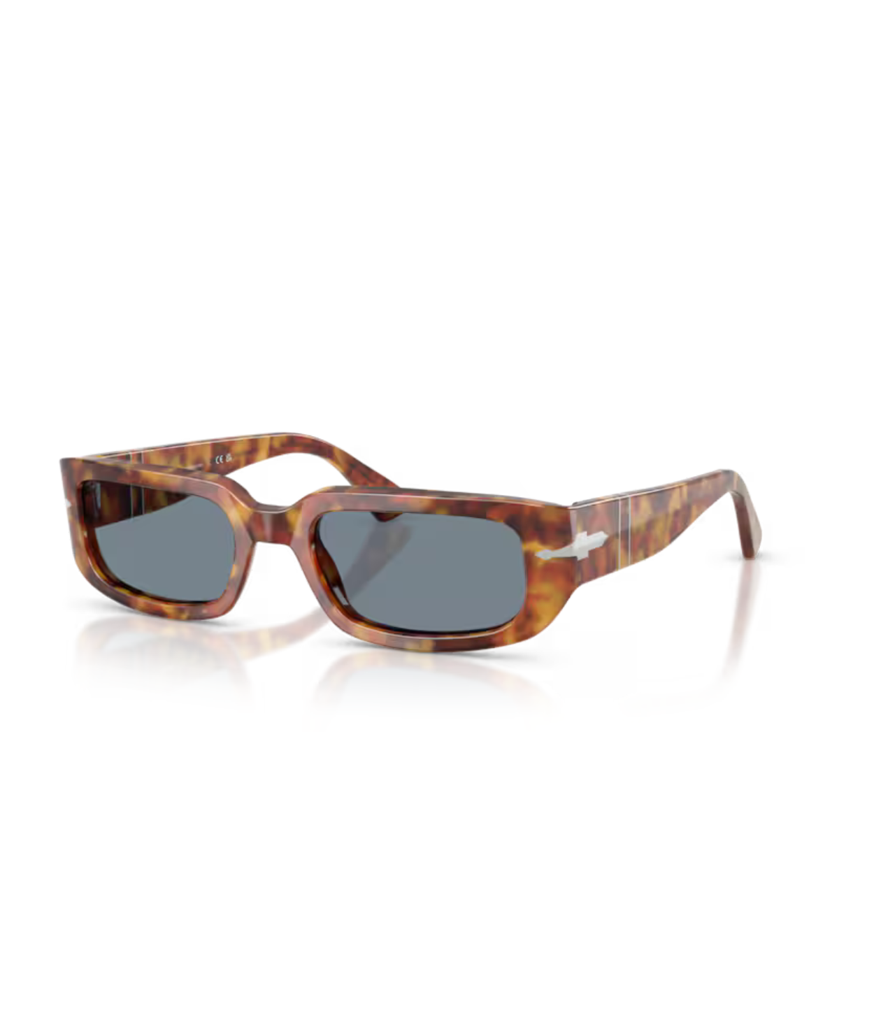 Brown tortoise-Light blue