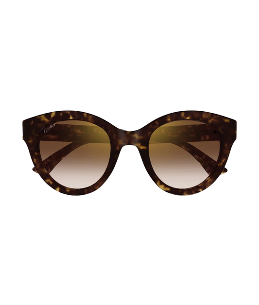 Havana-Brown