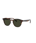 Tuscany tortoise-G-15 polarized