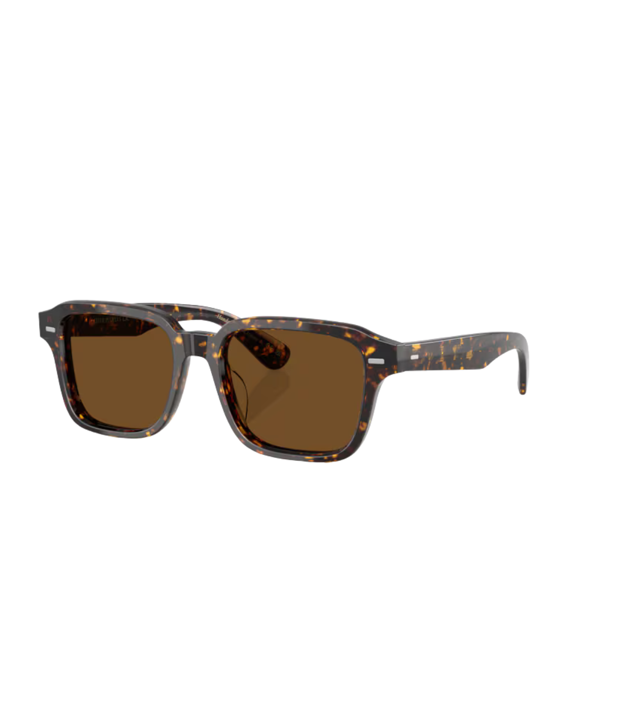 Atago tortoise-True brown polarized