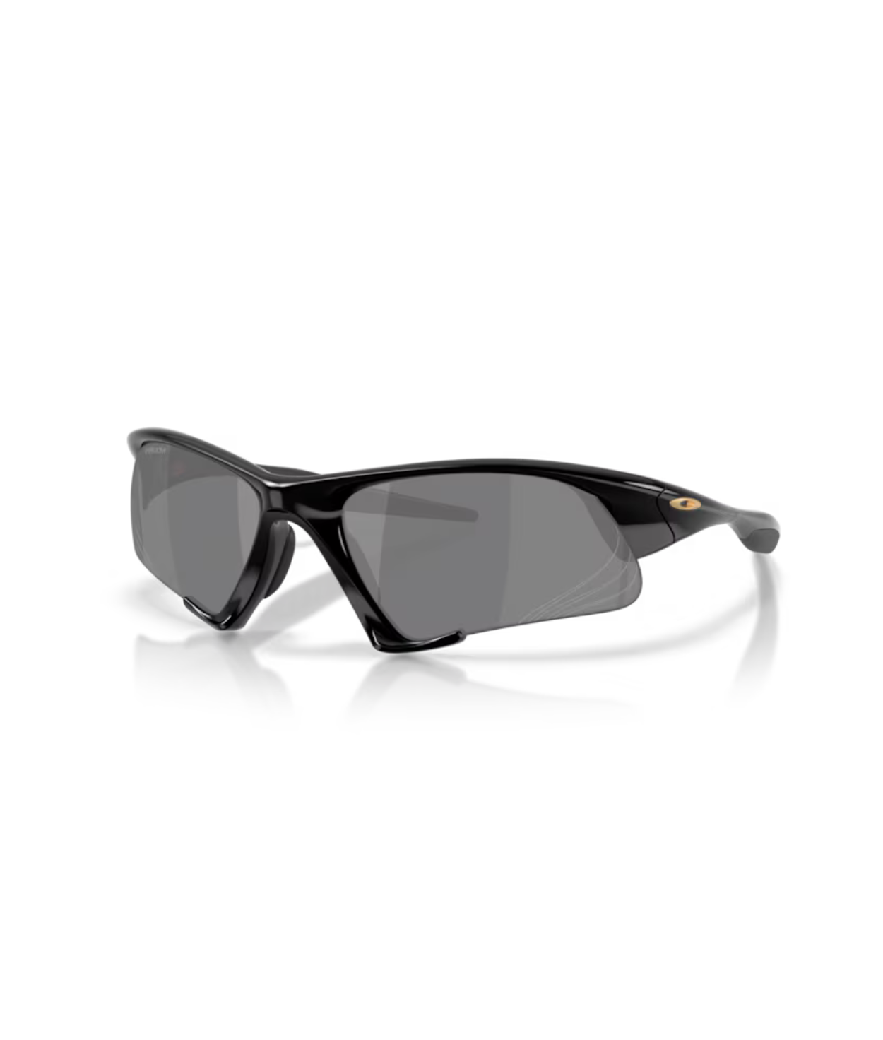 Polished black-Prizm black polarized