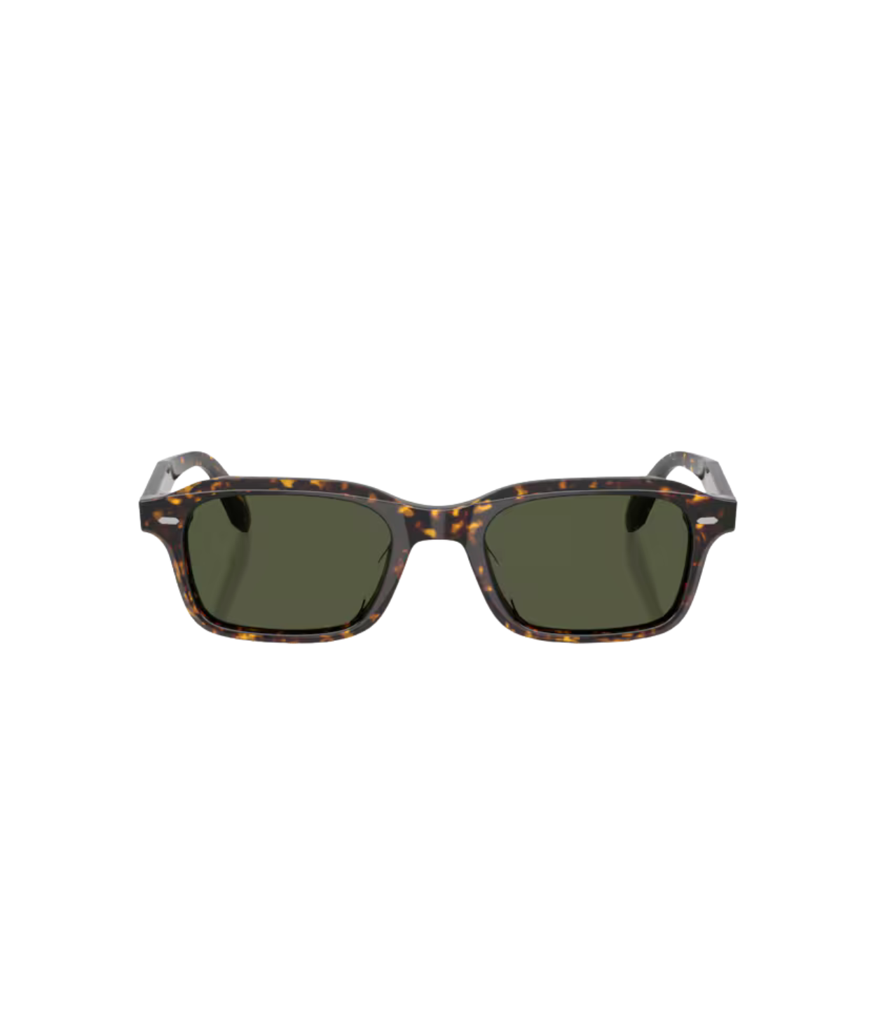 Atago tortoise-G-15