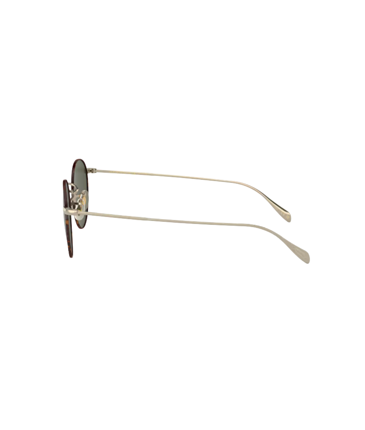 Gold-tortoise-G-15