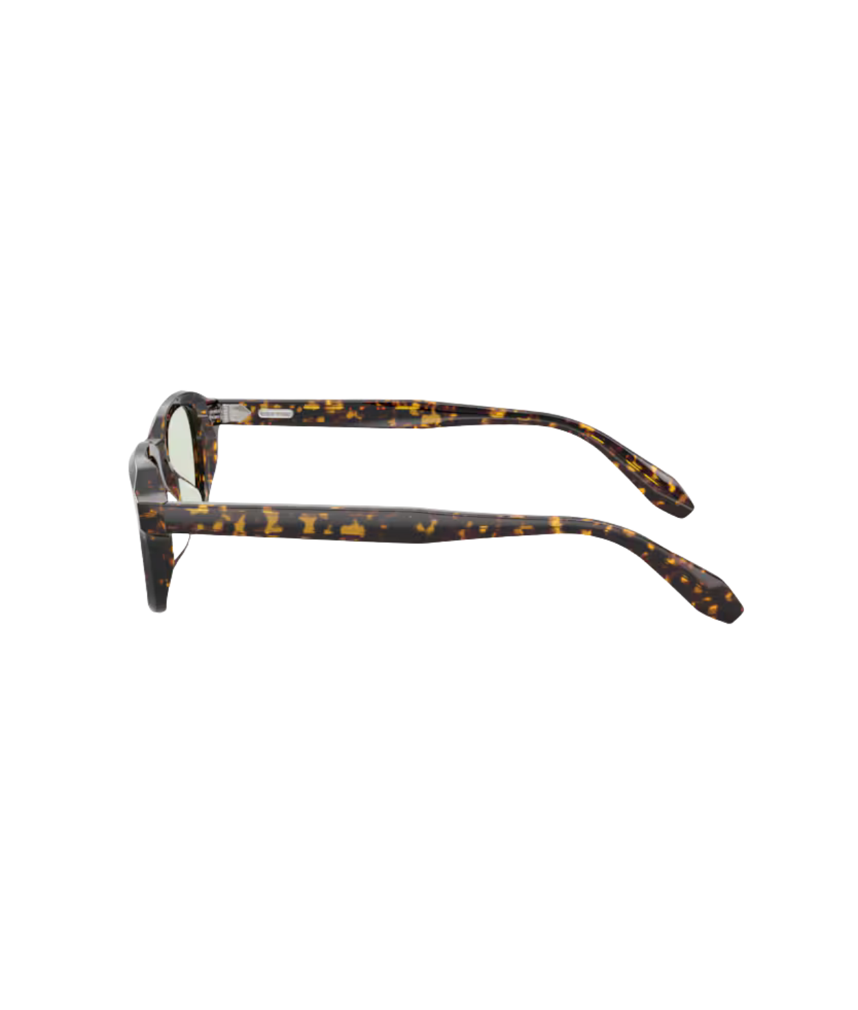 Atago tortoise-Fern wash to dark