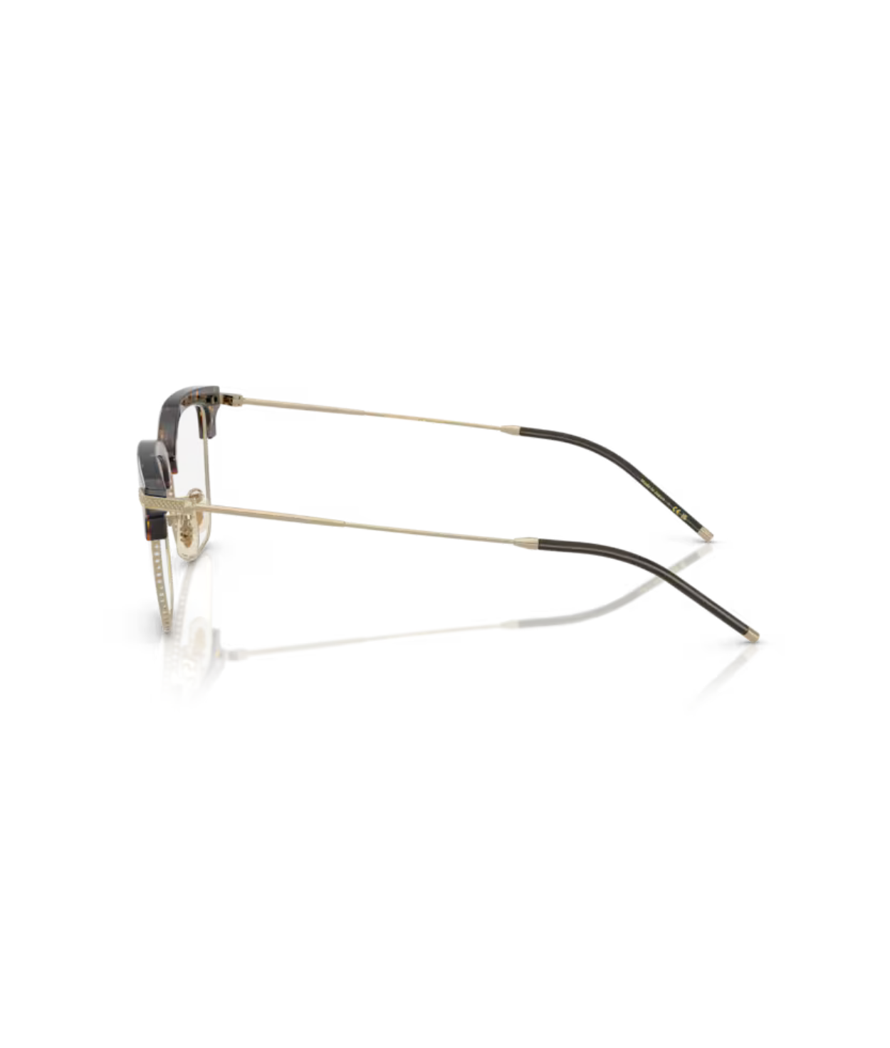 Atago tortoise/gold