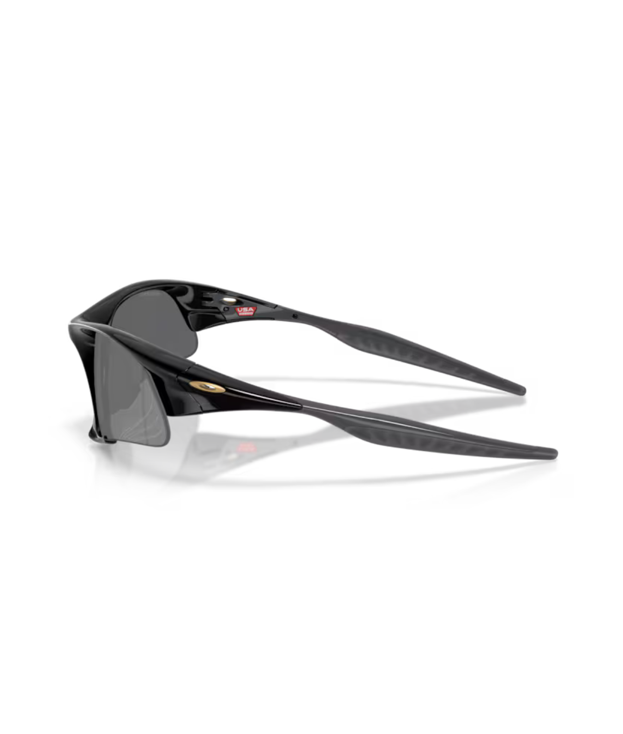 Polished black-Prizm black polarized