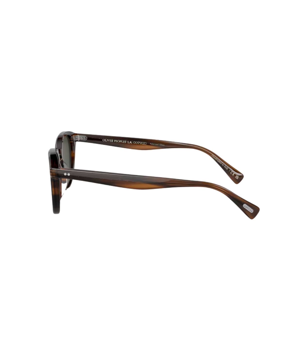 Tuscany tortoise-G-15 polarized