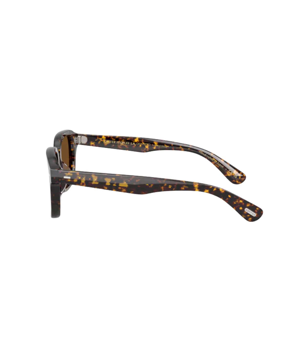 Atago tortoise-True brown polarized