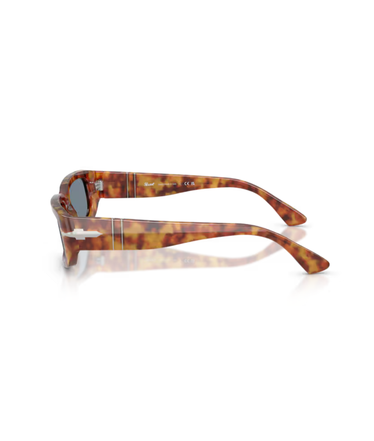 Brown tortoise-Light blue