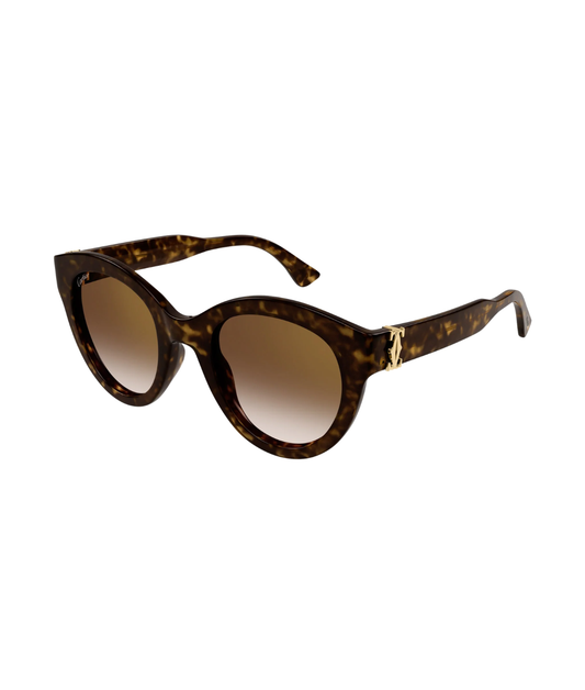 Havana-Brown