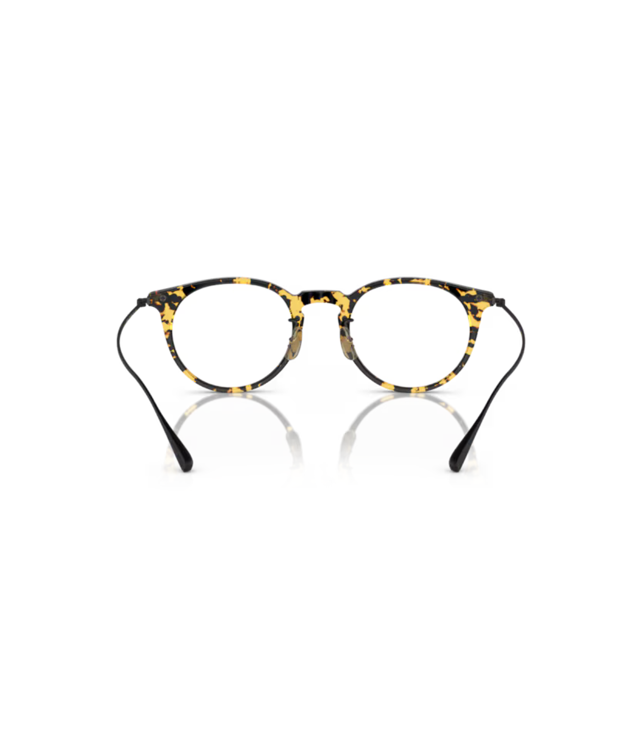 Tokyo tortoise