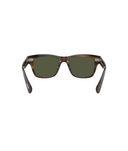 Tuscany tortoise-G-15