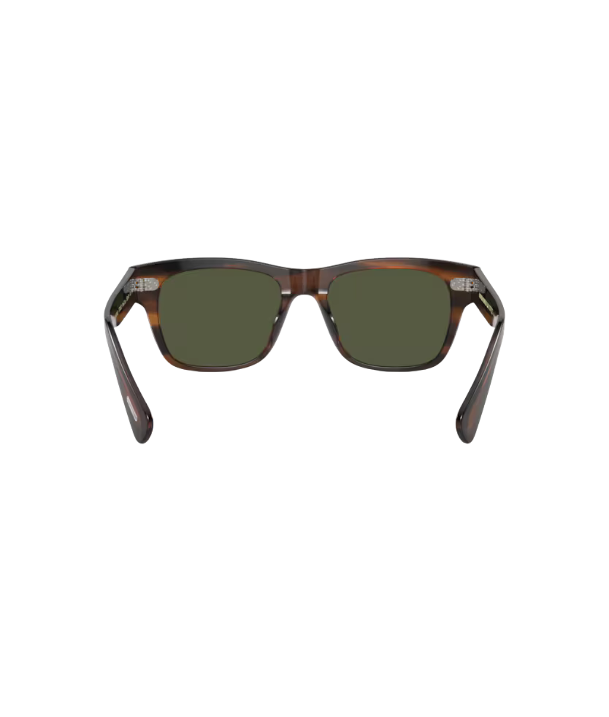 Tuscany tortoise-G-15