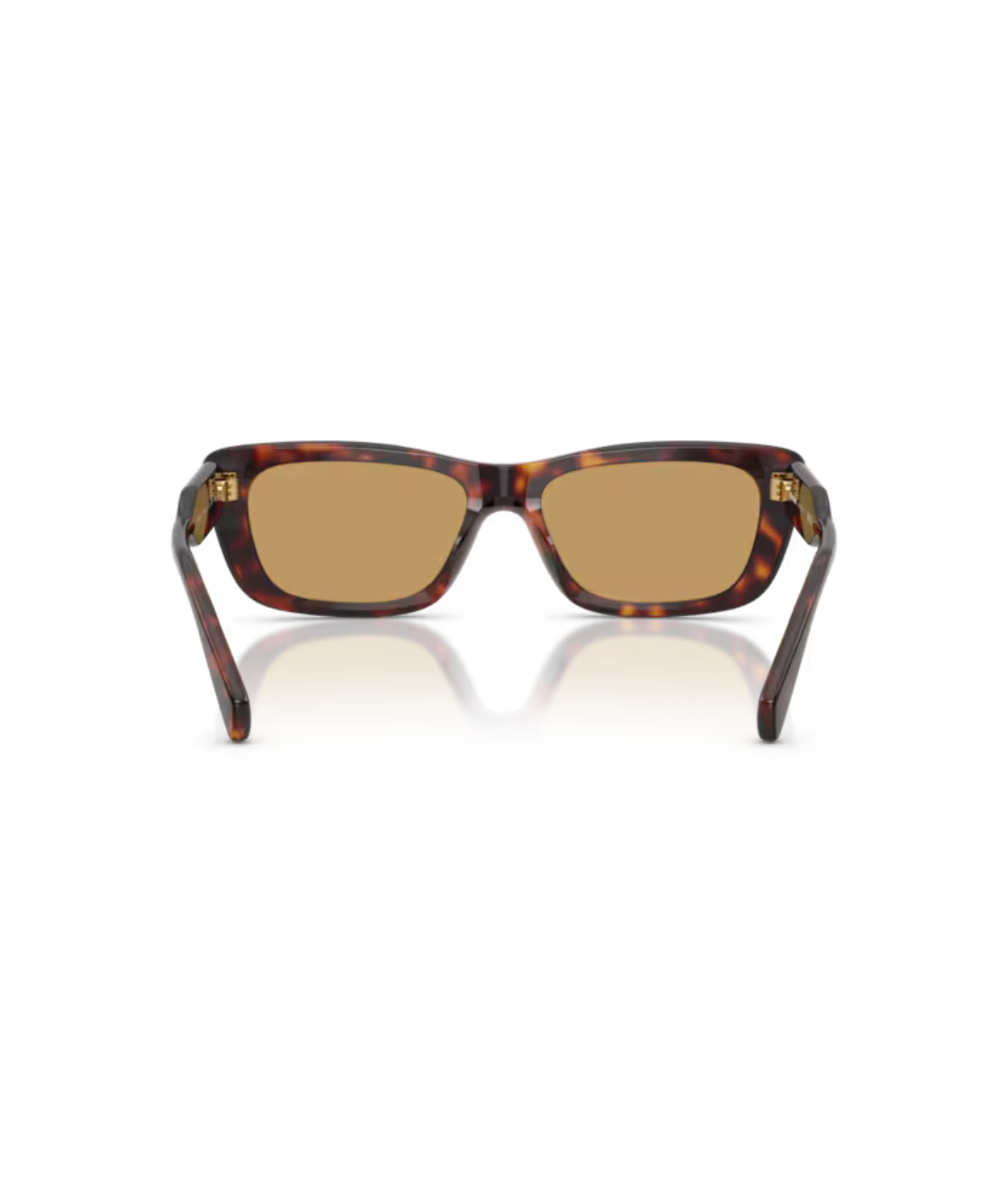 Havana-Brown