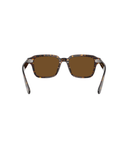 Atago tortoise-True brown polarized