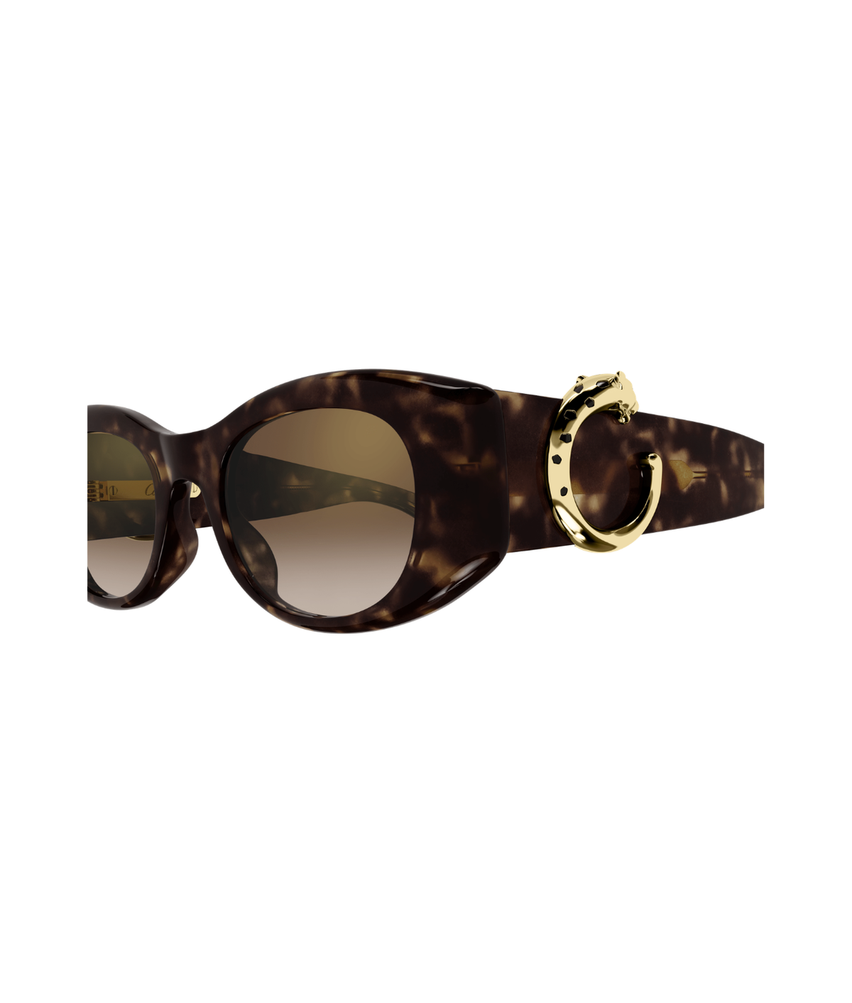 Havana-Brown