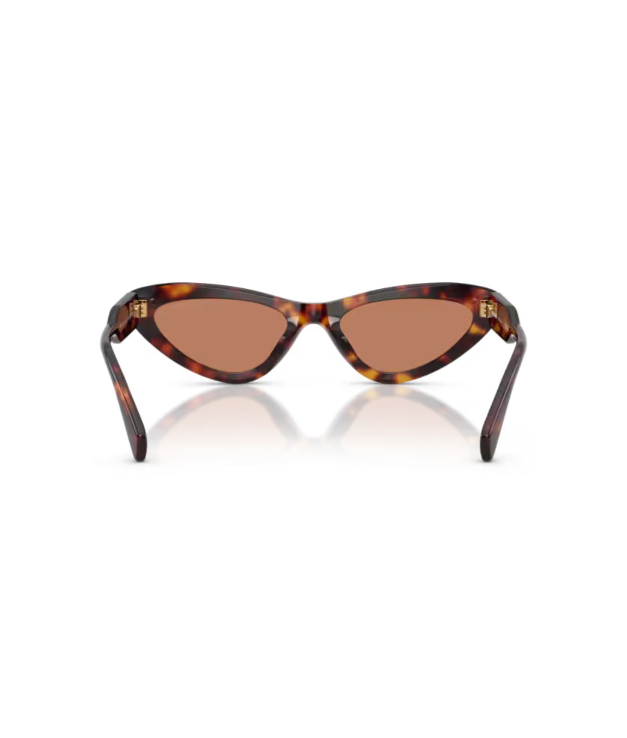 Havana-Brown