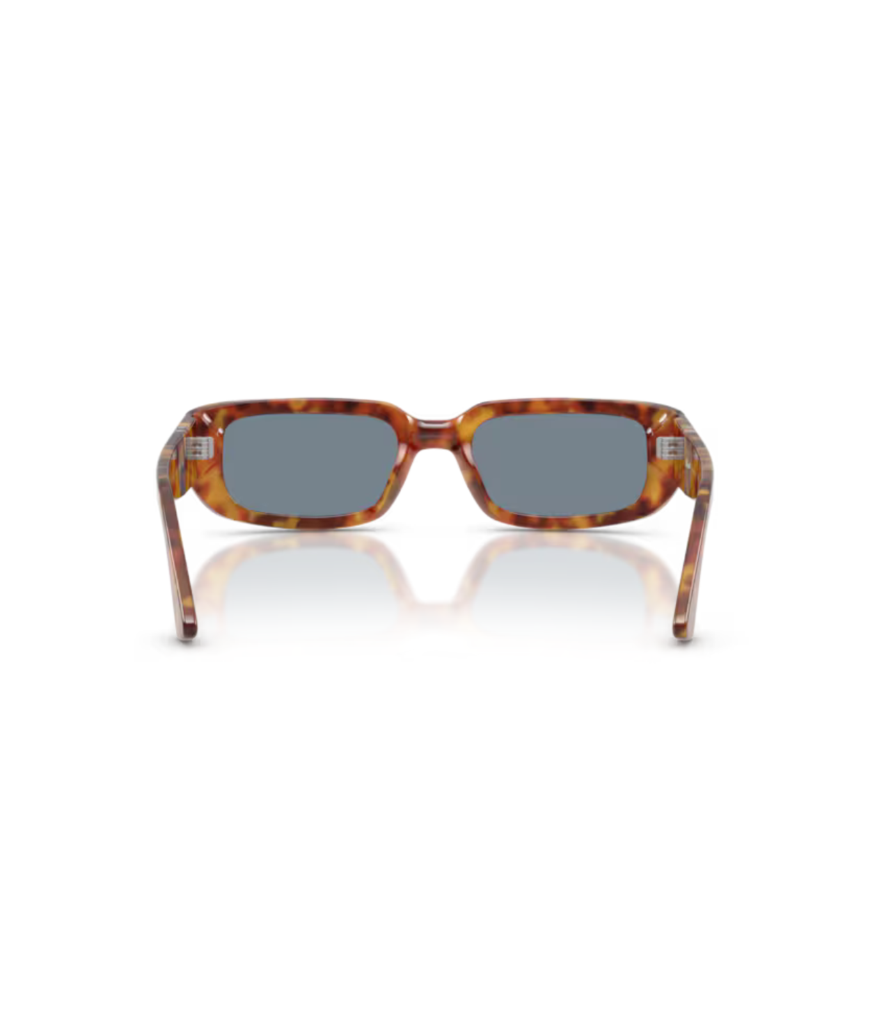 Brown tortoise-Light blue