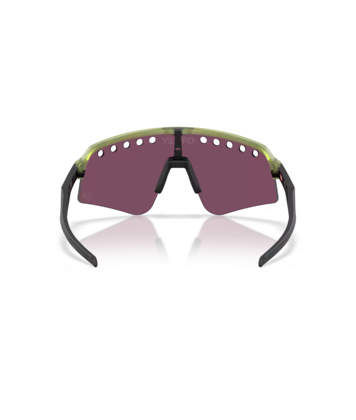 Transparent fern-Prizm road black