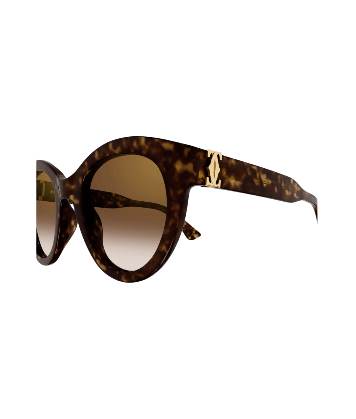 Havana-Brown