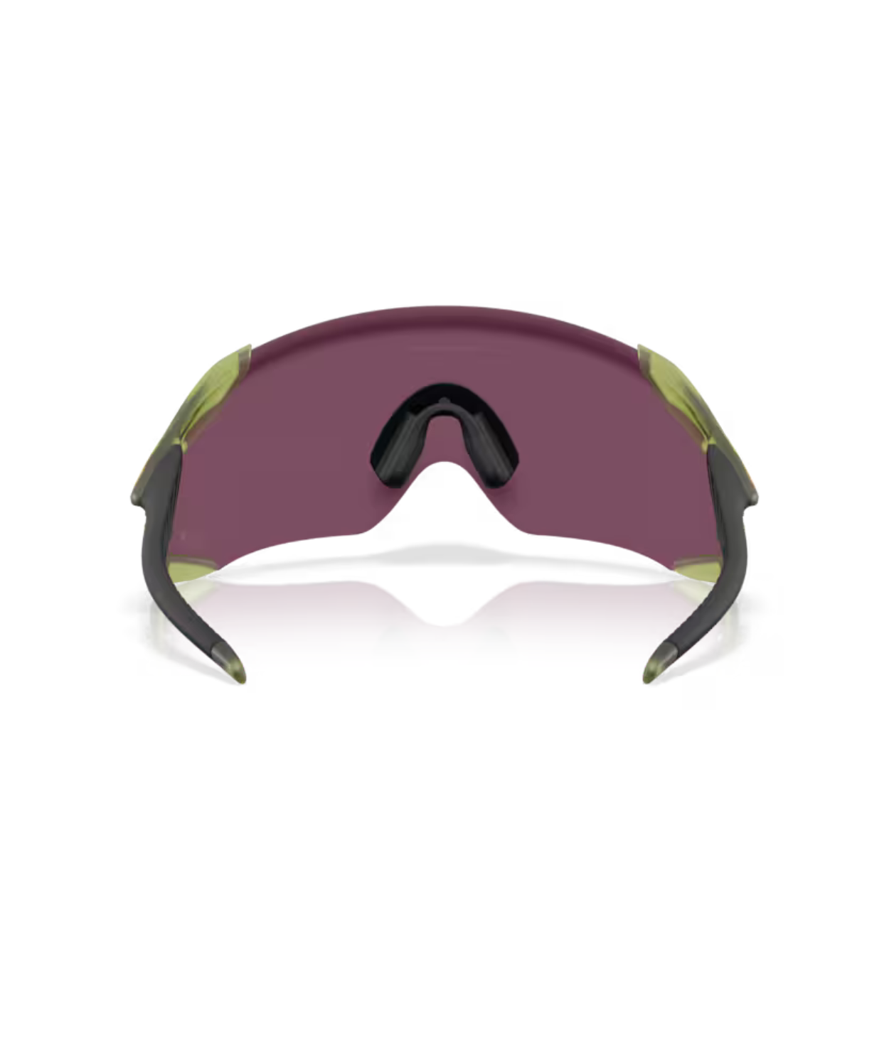 Transparent fern-Prizm road black