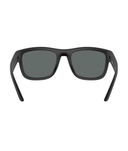 Black rubber-Dark grey polarized