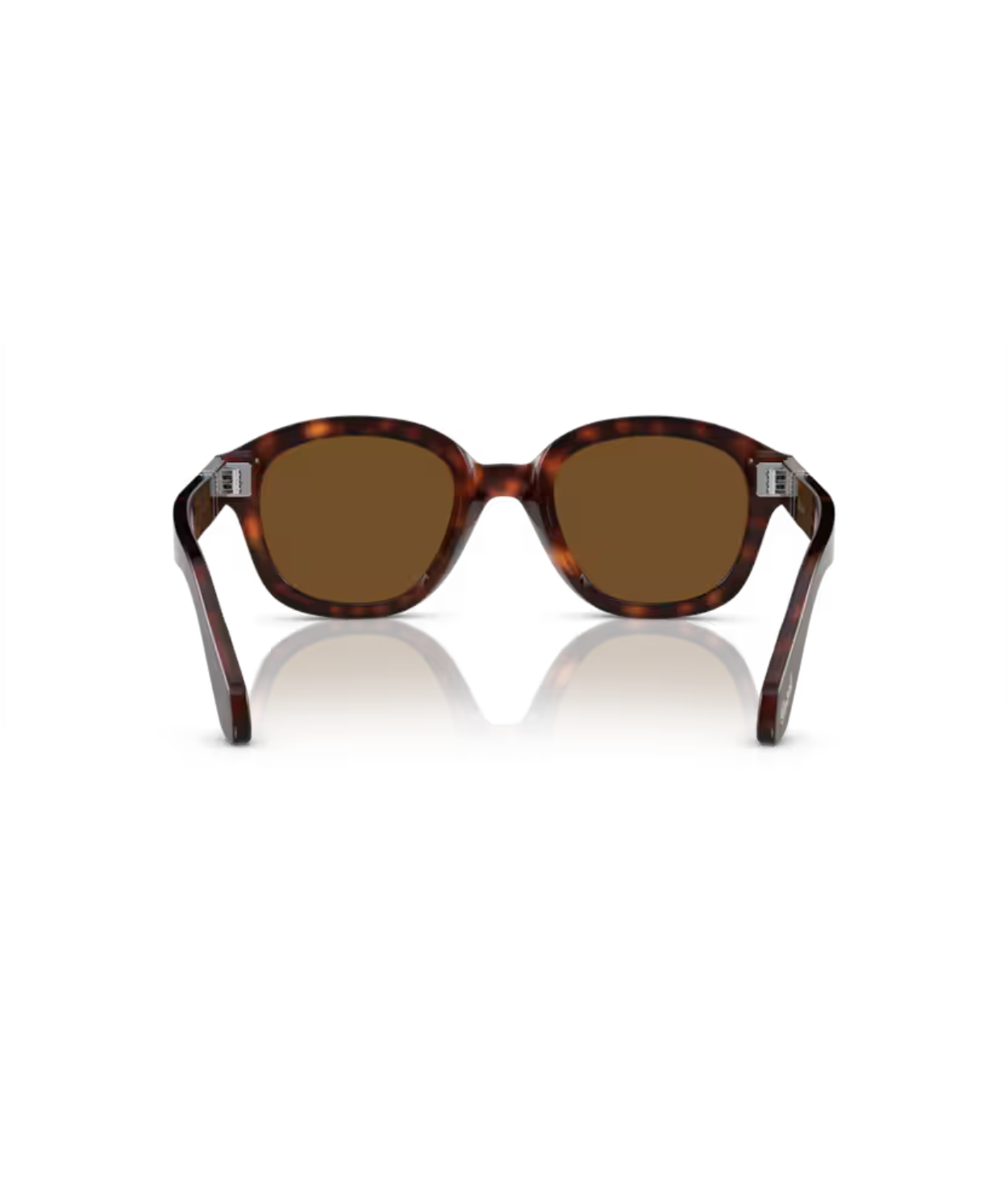 Havana-Polarized brown