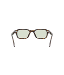Atago tortoise-Fern wash to dark