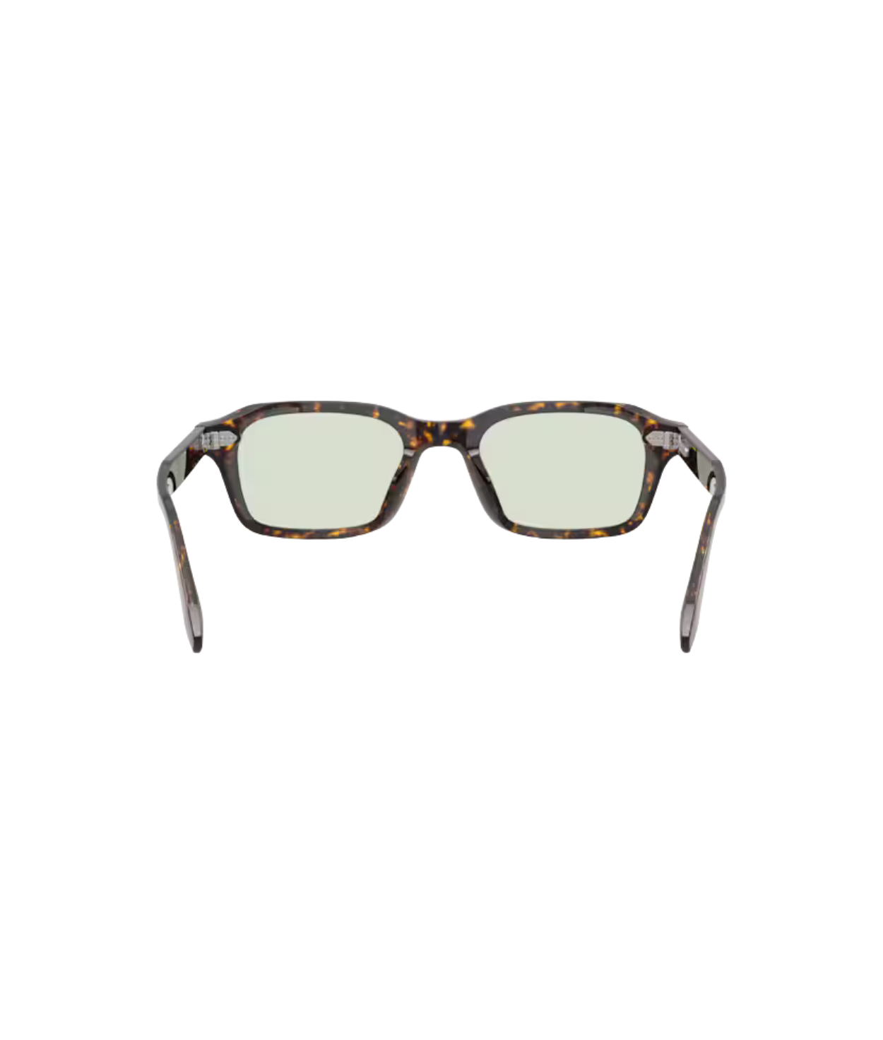 Atago tortoise-Fern wash to dark