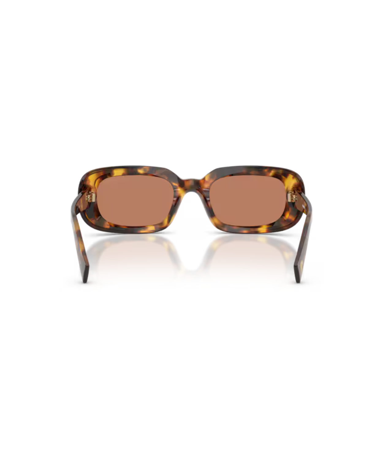 Honey Havana-Brown