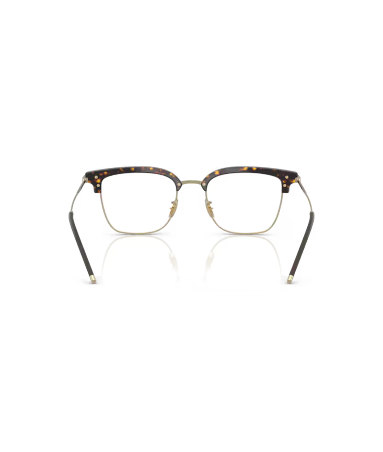 Atago tortoise/gold