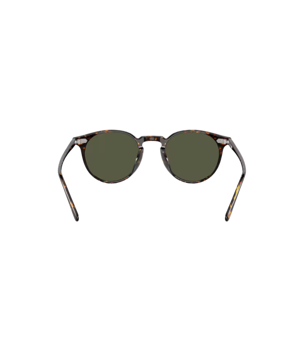 Atago tortoise-G-15