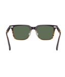 Cortado-G-15 polarized