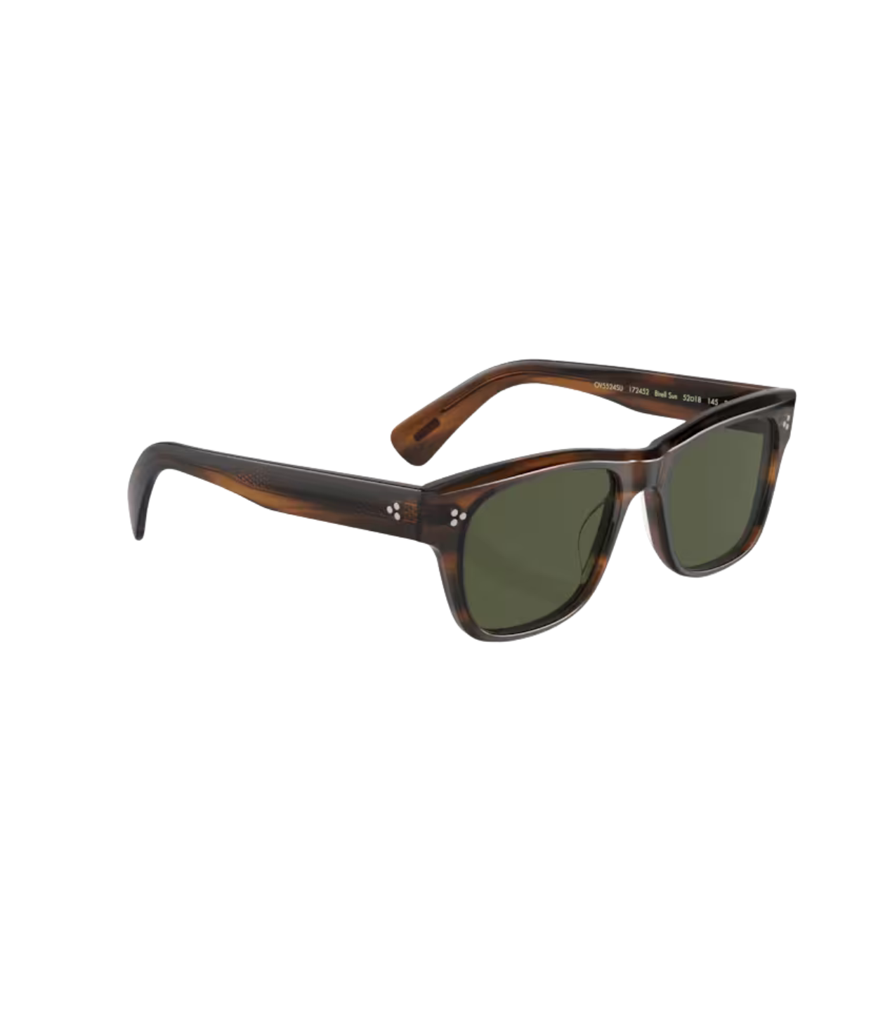 Tuscany tortoise-G-15