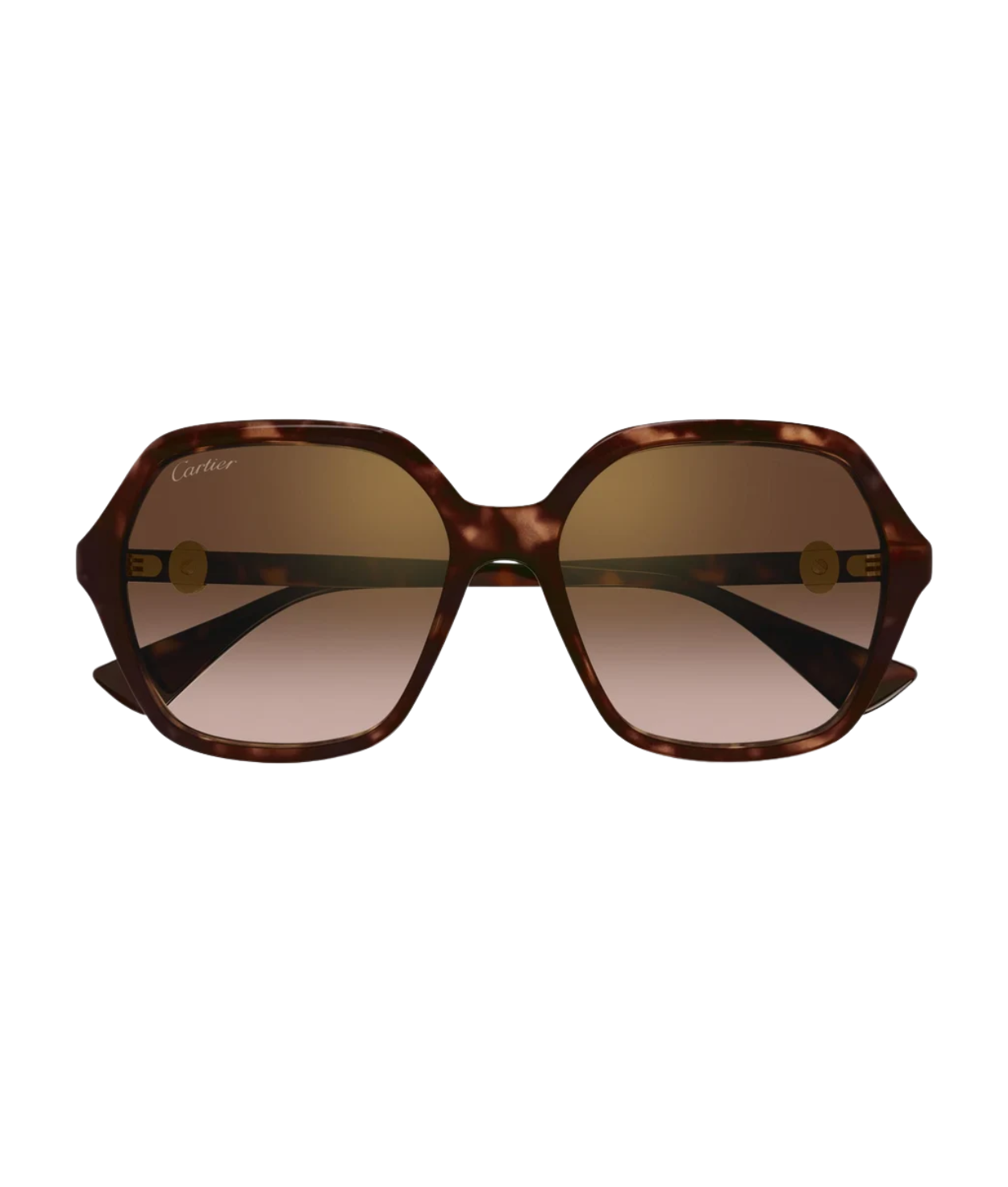 Havana-Brown