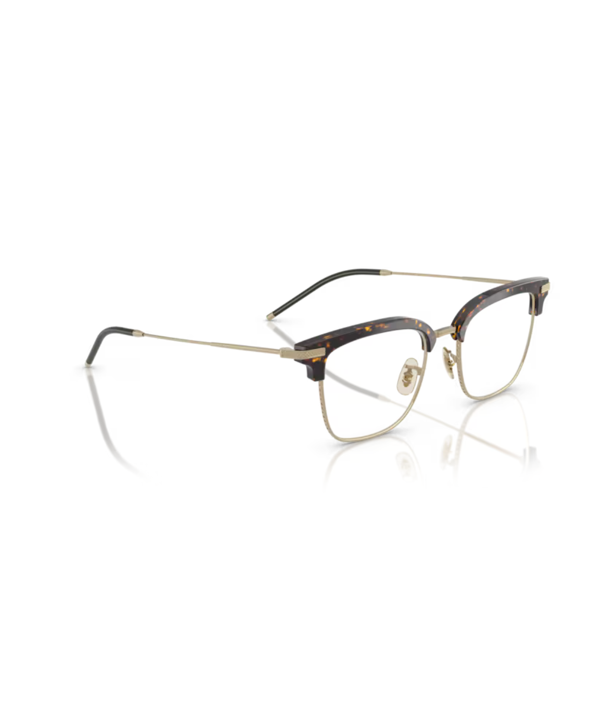 Atago tortoise/gold