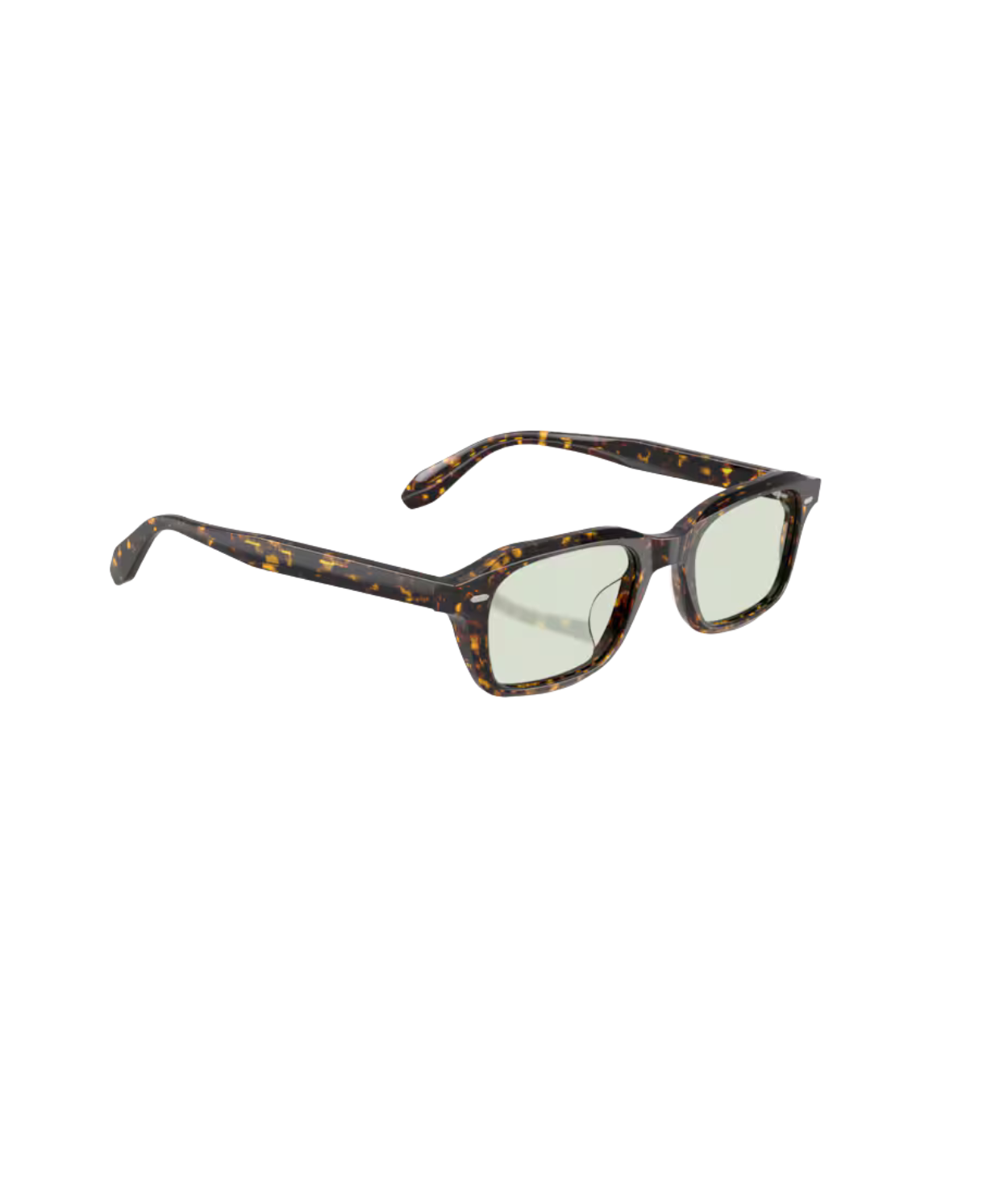 Atago tortoise-Fern wash to dark