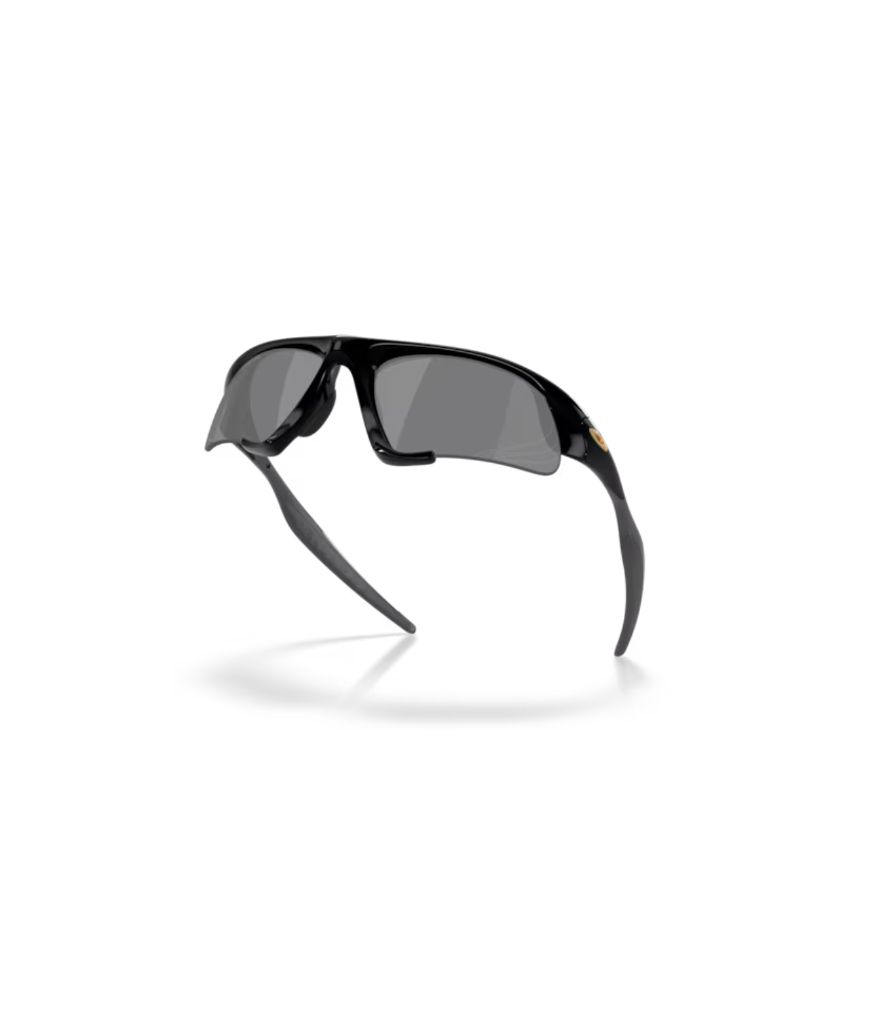 Polished black-Prizm black polarized